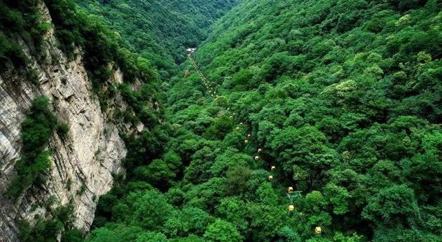 惊艳！城本高端局，种植牙机器人闪亮登场